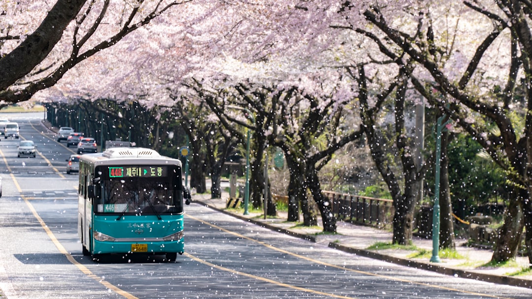 blue-and-white-bus-on-road-near-trees-during-daytime-cx7fi2lxjgo
